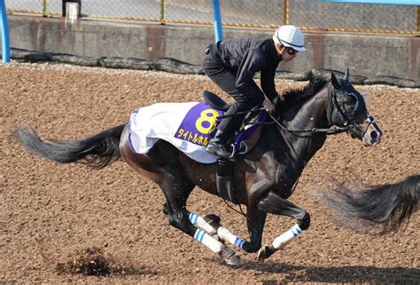 【天皇賞・春】タイトルホルダー連覇ローテだ 今年も日経賞からの臨戦 スポニチ競馬web