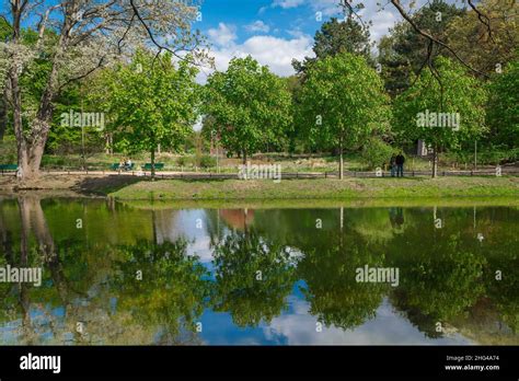 Berlin Tiergarten View Across A Lake Known As The Venus Basin In The