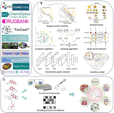 Frontiers In Silico Prediction Of Chemical Toxicity For Drug Design