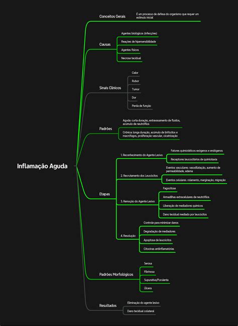 Inflama O Aguda Resumo Fisiologia Humana Inflama O Aguda