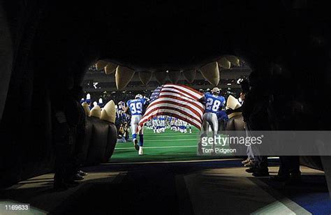 37 Inflatable Lion Stock Photos High Res Pictures And Images Getty