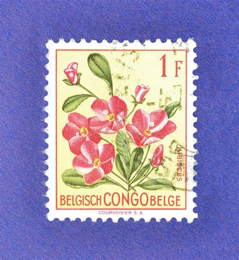 Cancelled Postage Stamp Printed By Belgian Congo That Shows Hibiscus