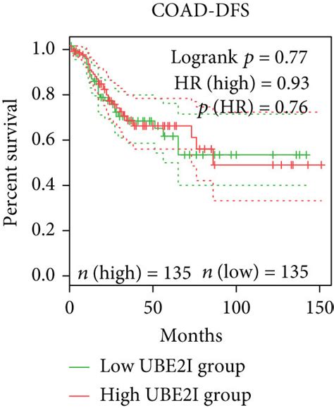 Overall And Disease Free Survival Plots In Relation To Ube I Expression