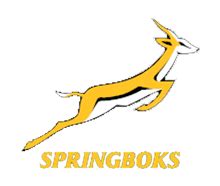 Springboks Logo - LogoDix