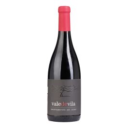 Vale de Vila Grande Reserva Tinto 2021 Compre Já Online Granvine