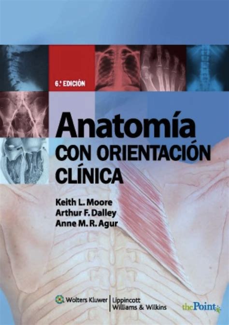 L Anatomía Con Orientación Clínica De Moore