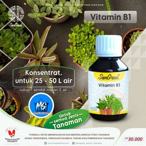 Promo Vitamin B Tanaman Anti Stress Dan Tahan Penyakit Ml Diskon