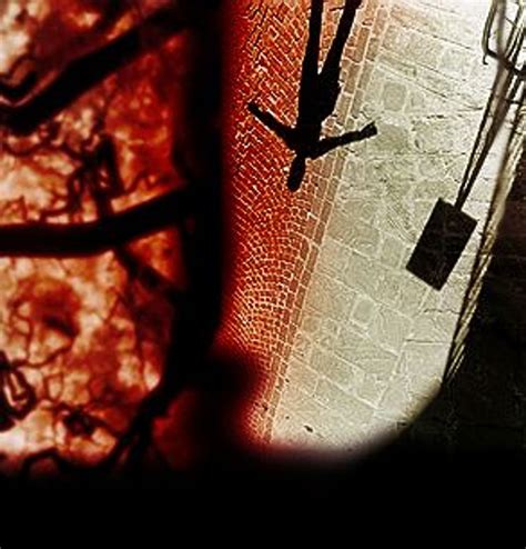 sublime true crime saloncom