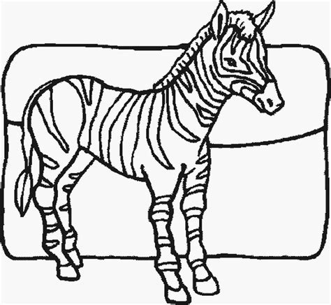 Free Printable Zebra Coloring Pages For Kids