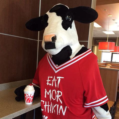 28 Best Chick Fil A Cows Images On Pinterest Halloween Decorating