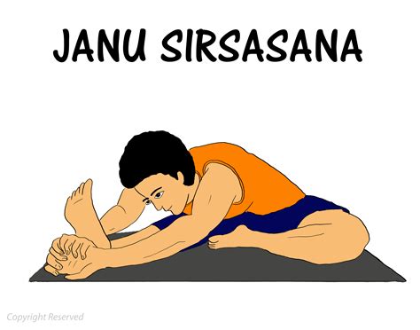 Janu Sirsasana Steps Benefits Precautions Contraindications