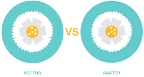 Vector Vs Raster Graphics What Are The Differences