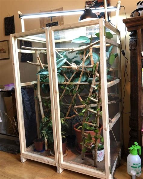 37 Innovative Chameleon Cage Setup Ideas [Beyond Basics] – Acuario Pets