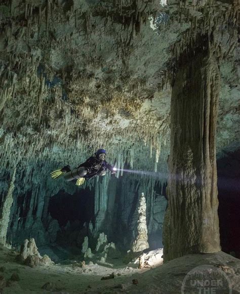 Exploring The Mystical Cenotes An Unforgettable Dive Experience