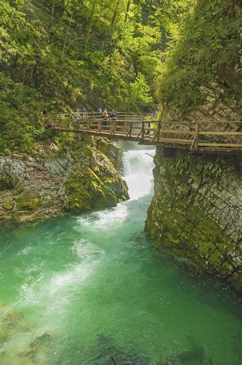 The Vintgar Gorge or Bled Gorge - Bled, Slovenia Triglav National Park ...