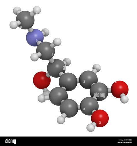 La Adrenalina Epinefrina Hormona Y Neurotransmisor Modelo Molecular