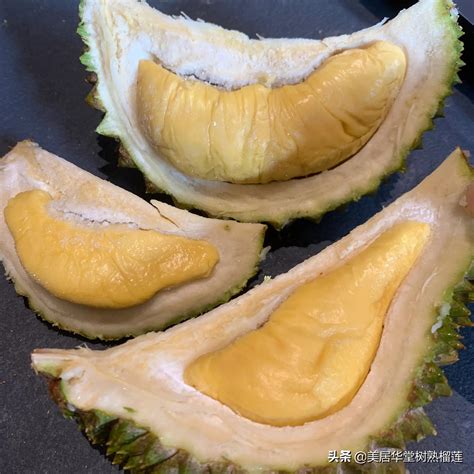 Musang King Durian Naked Imedia