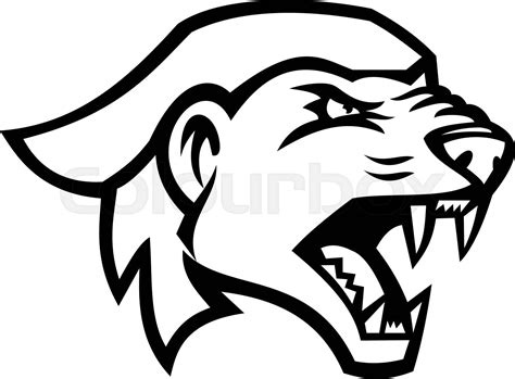 Head Of An Angry Honey Badger Mascot Black And White Stock Vector