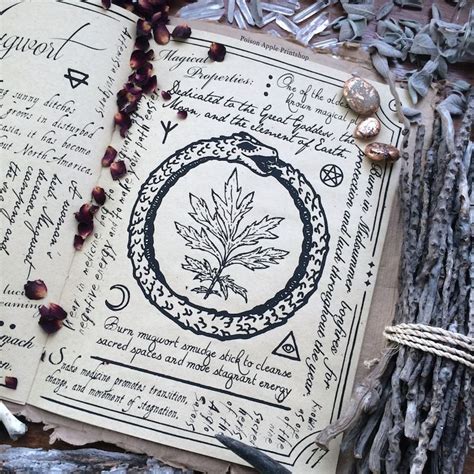 Poisonappleprintshop A Page From The Hedge Witchs Herbal Grimoire