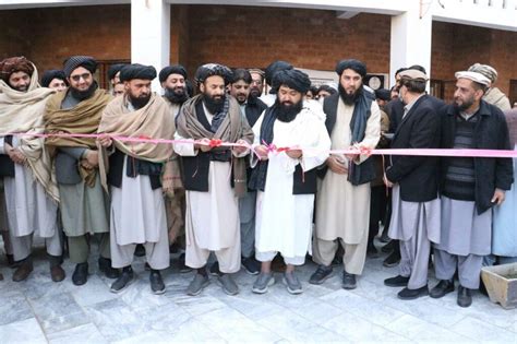 3 more master’s programmes launched at Nangarhar University – Pajhwok ...