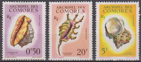 Comores Coquillages Yt Neufs De Cote