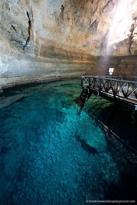 Best Cenotes Near Playa Del Carmen The Whole World Is A