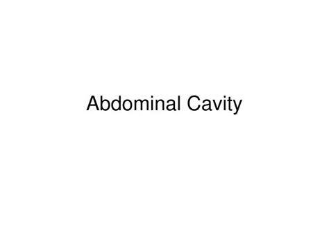 Ppt Abdominal Cavity Powerpoint Presentation Free Download Id 816353