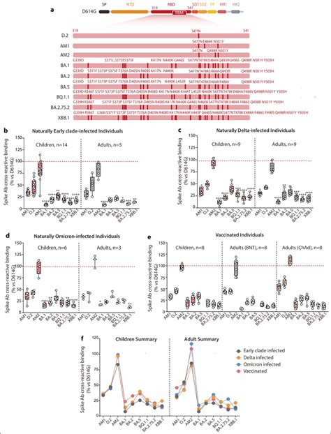 Epistatic Effect Of Mutations Within The Spike Rbd A Schematic Of