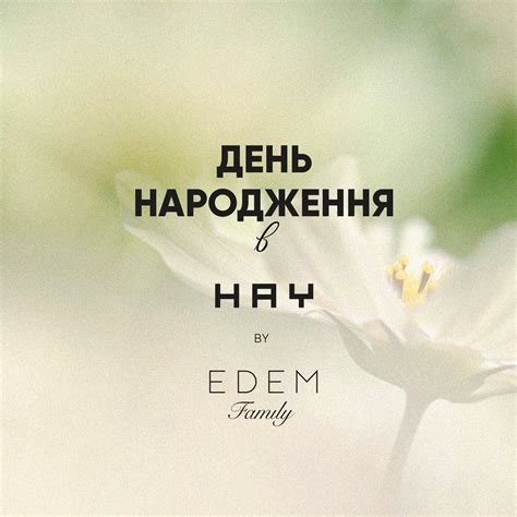 Спеціальна пропозиція до дня народження - Hay by Edem Family
