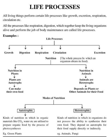 Flow Chart On Life Processes Class 10