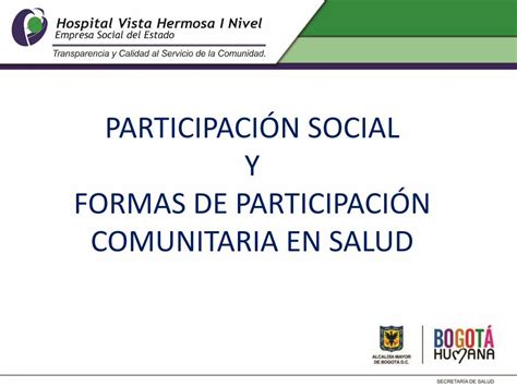 Pdf Participaci N Social Y Formas De Pdf Filequ Regula La