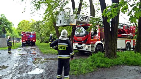 OSP Leszczyny Usuwanie pochylonego drzewa IKNW iKnurów pl