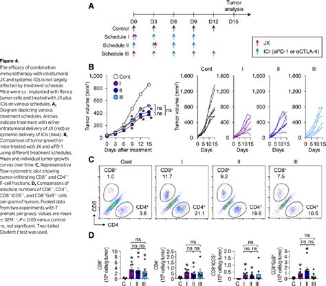 Figure From Tumor Microenvironment Remodeling By Intratumoral