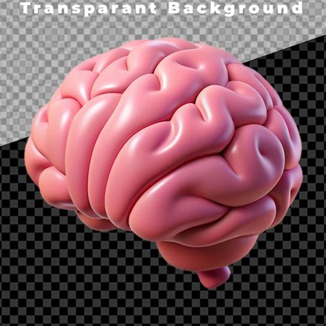 Las Maravillas Complejas Del Cerebro Humano Psd Premium Generado Con Ia