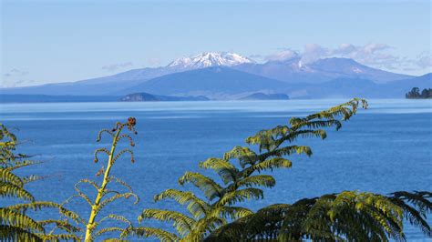 A Supervolcano In New Zealand Rumbles So Much It Displaces The Ground