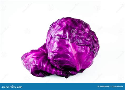 Red Cabbage Stock Photo Image Of Ingredient Autumn 36099098