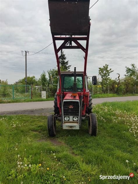 Ciągnik Massey Ferguson MF 560 z turem 56KM Kutno Sprzedajemy pl