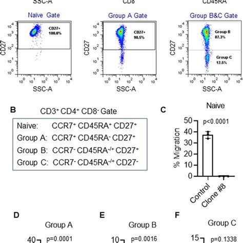 Inhibition Of T Cell Subset Migration Towards Ccl21 By C8 A Flow Download Scientific Diagram