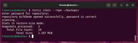 Restic Backup And Restore Data On Linux With Examples