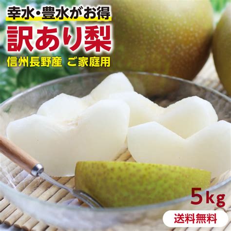 訳あり 梨 5kg 長野県産 幸水 Or 豊水 ご自宅用 お徳用 ご家庭用 なし 訳あり梨 和梨 ナシ 産地直送 旬の果物 大容量