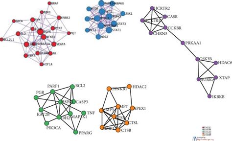 Graph Of Protein Protein Interactions A General View Of The