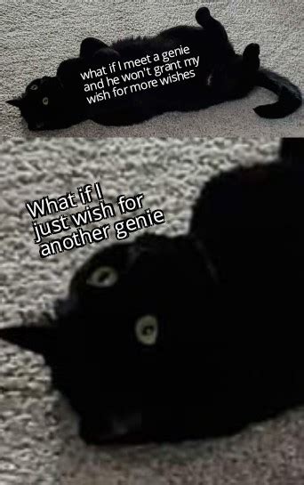 I made a meme out of my cat : r/memes