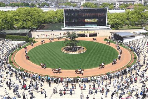 【菊花賞2023】サトノグランツやハーツコンチェルトなど、神戸新聞杯組が続々と菊花賞への参戦を表明 競馬ヘッドライン