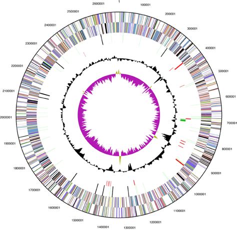 Graphical Circular Map Of The Genome From Outside To The Center