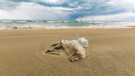 Lixo Na Praia Polu Da Foto De Stock Imagem De Escuro