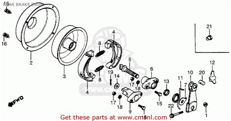 Honda Atc70 1985 Usa Rear Brake Drum Schematic Partsfiche