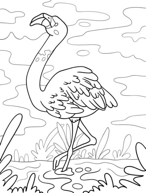 Coloriage Flamant Rose Gratuit Imprimer