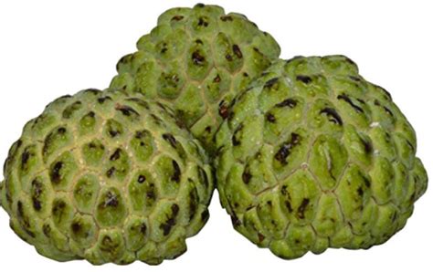 Fresh Custard Apples Price From E Mart In Kenya Yaoota