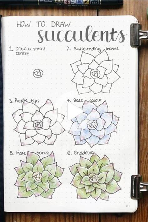 How To Draw Succulents Step By Step Warehouse Of Ideas