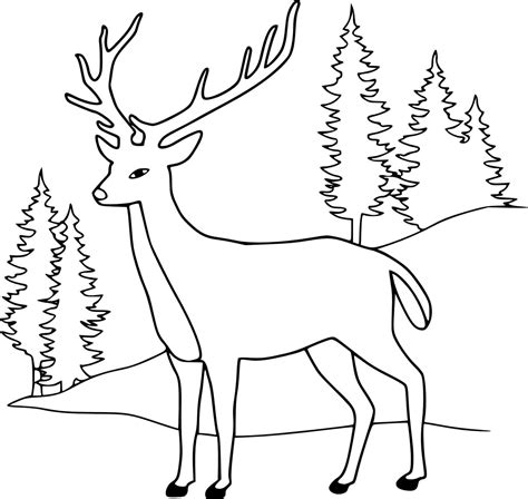 Coloriages Cerf de Noël Coloriages pour enfants WONDER DAY